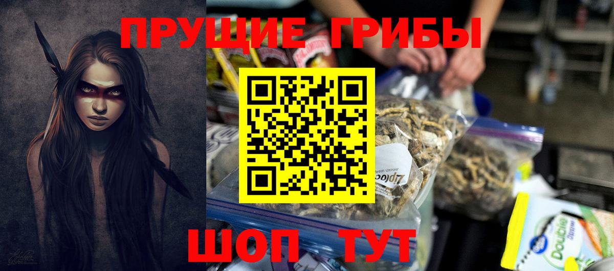 Курчатов  Галлюциногенные грибы мицелий  Вход с VPN  Галлюциногенные грибы Magic Shrooms 