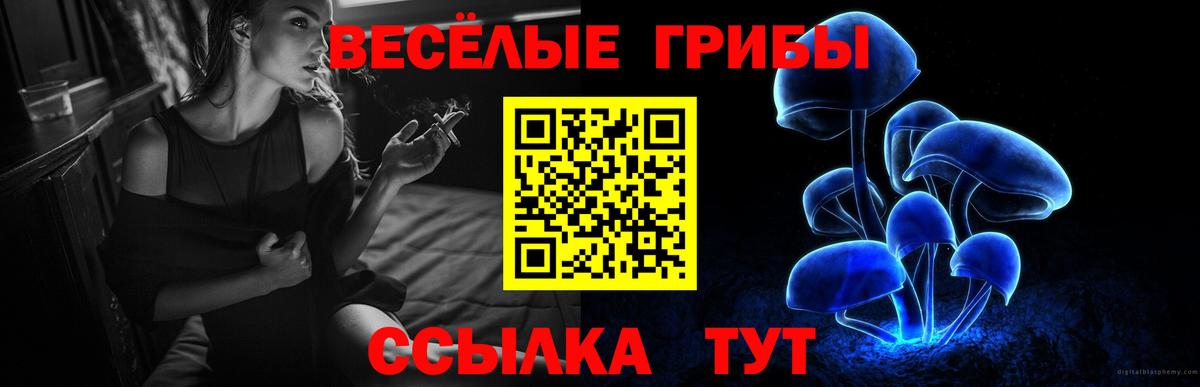 Псилоцибиновые грибы Psilocybine cubensis Курчатов
